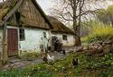 Bromolle Farm with Chickens
Picture # 2737