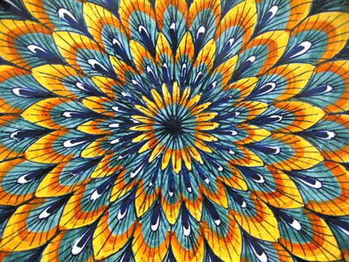 Daily photo - Peacock Plate