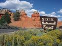 Dixie National Forest
Picture # 3197
