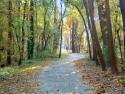 Grant`s Trail
Picture # 1912