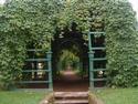 Vine Covered Arbor
Picture # 1847