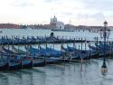 Venetian Gondolas
Picture # 1481