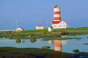 Lighthouse
Picture # 1595
