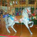 Carousel
Picture # 47
