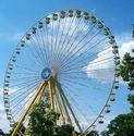 Ferris Wheel
Picture # 518
