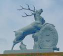 Stag
Picture # 806