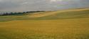 Fields on a Stormy Day
Picture # 3051