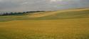 Fields on a Stormy Day
Picture # 3051
