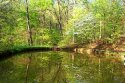 Spring Reflections
Picture # 635
