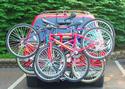 Bicycles Get a Ride
Picture # 729