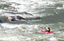 Kayaking
Picture # 732