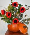 Red Sunflowers and Pumpkin
Picture # 1382

