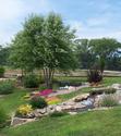 River Birches at Wine Country Gardens
Picture # 1744