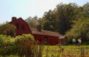 Freeman Farm
Picture # 4061