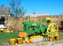 Pumpkins for Sale
Picture # 824