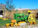 Pumpkins for Sale
Picture # 824
