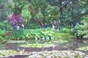 Pond in Monets Garden
Picture # 308
