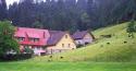 German Farm in the Rain
Picture # 317