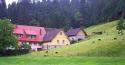 German Farm in the Rain
Picture # 317
