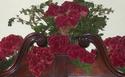 Coxcomb on Armoire
Picture # 1952