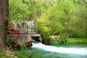 Dam at Alley Spring
Picture # 2150
