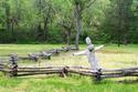 Abandoned Scarecrow and Garden
Picture # 2158
