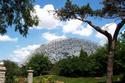 Climatron
Picture # 2206
