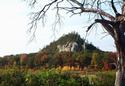 Autumn in Wisconsin
Picture # 2298