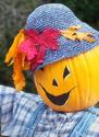 Portrait of a Jovial Pumpkin
Picture # 2803