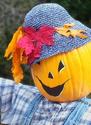 Portrait of a Jovial Pumpkin
Picture # 2803
