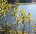 Sunny Lake
Picture # 2900

