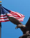 Freedom Statue
Picture # 3351