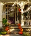 Pumpkins on the Steps
Picture # 3646