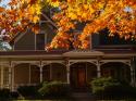 Autumn Glory
Picture # 3647