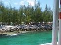 Coral At Cococay Island
Picture # 2663