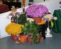 Another lovely Fall Arrangement
Picture # 3253