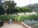 Matthew and David At The Zoo
Picture # 2556
