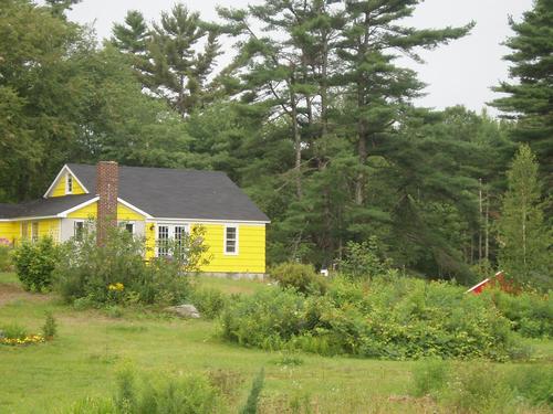 Daily photo - Yellow farm cottage