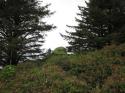 Mountainous
Picture # 3872
