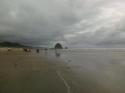Beachside
Picture # 4007