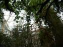 it`s a jungle!
Picture # 3776