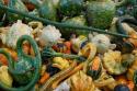 Harvest
Picture # 3847