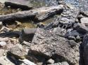 Fossils on the Shore
Picture # 3935
