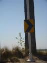 This Way
Picture # 3956