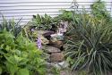 The Fairies Garden
Picture # 2112