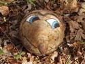 Gourdhead
Picture # 1978