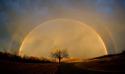 Evening Rainbow
Picture # 3966