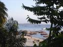 Coast of Zanzibar
Picture # 3063