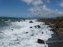 North of San Francisco
Picture # 3601
