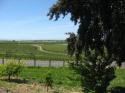 From the Terrace
Picture # 3609